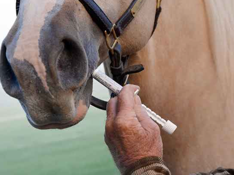 Horse Dewormers