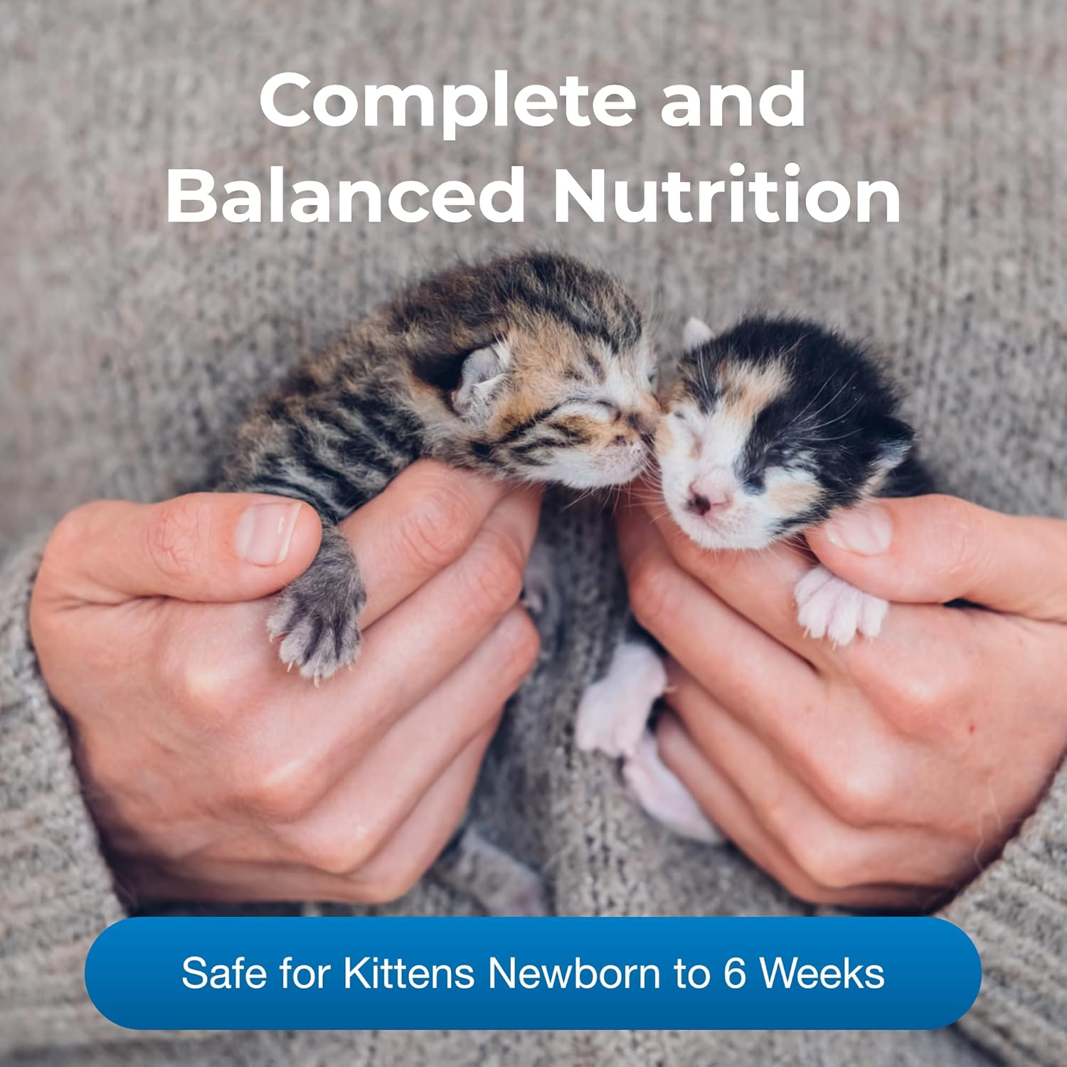 KMR Kitten Milk Replacer Powder