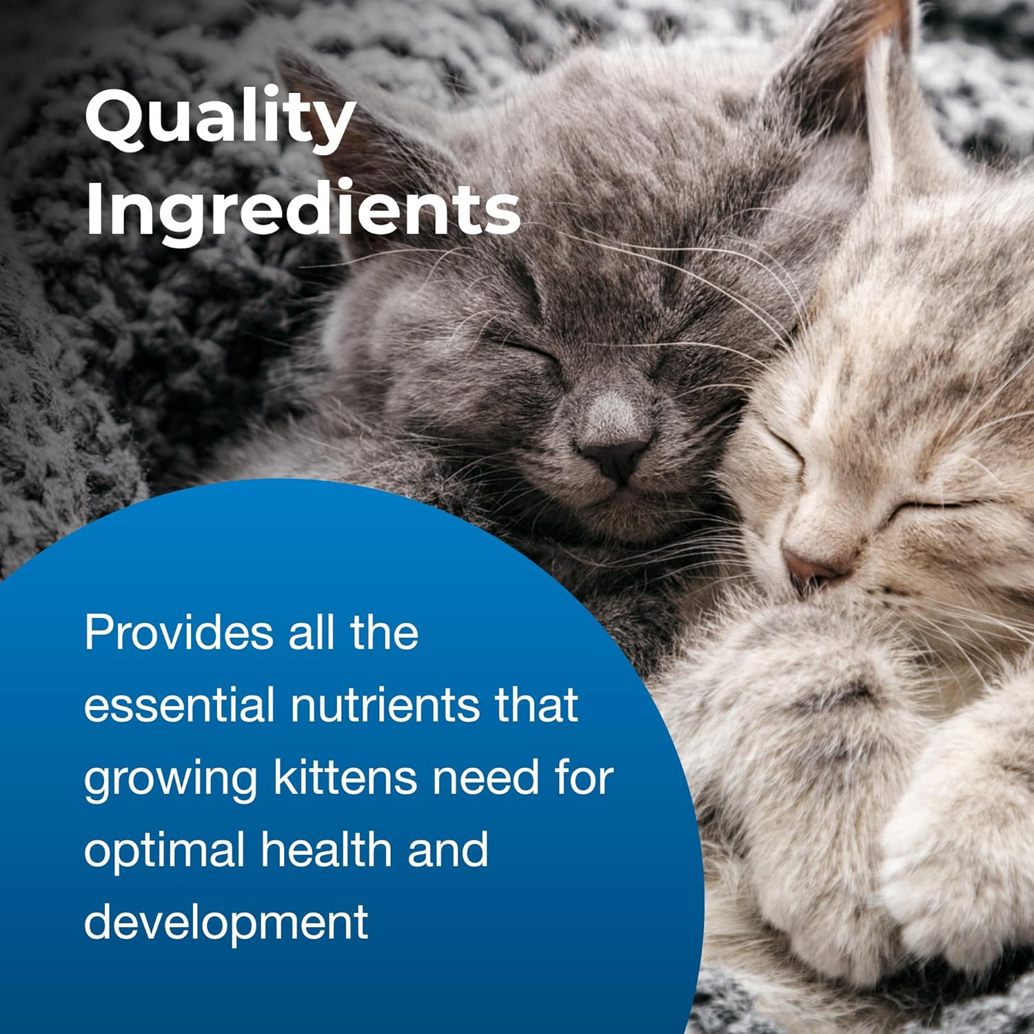 KMR Kitten Milk Replacer Powder