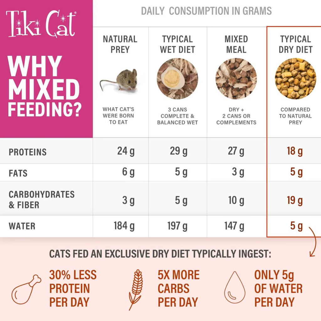 Tiki Cat Born Carnivore Kitten Health Chicken & Egg Dry Food for Kittens