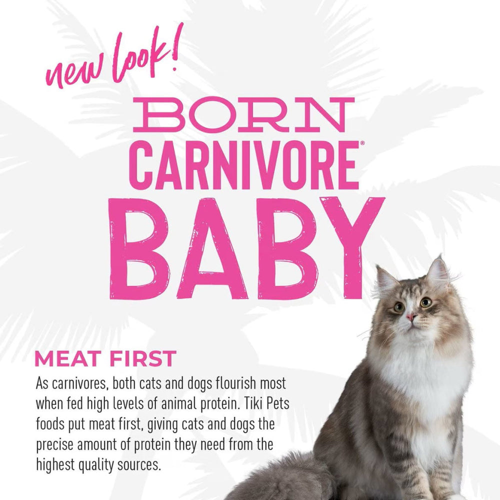 Tiki Cat Born Carnivore Kitten Health Chicken & Egg Dry Food for Kittens