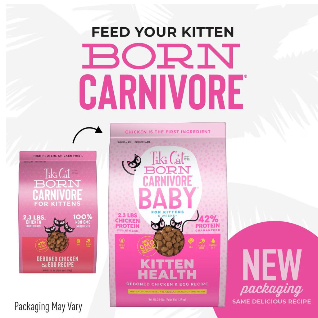 Tiki Cat Born Carnivore Kitten Health Chicken & Egg Dry Food for Kittens