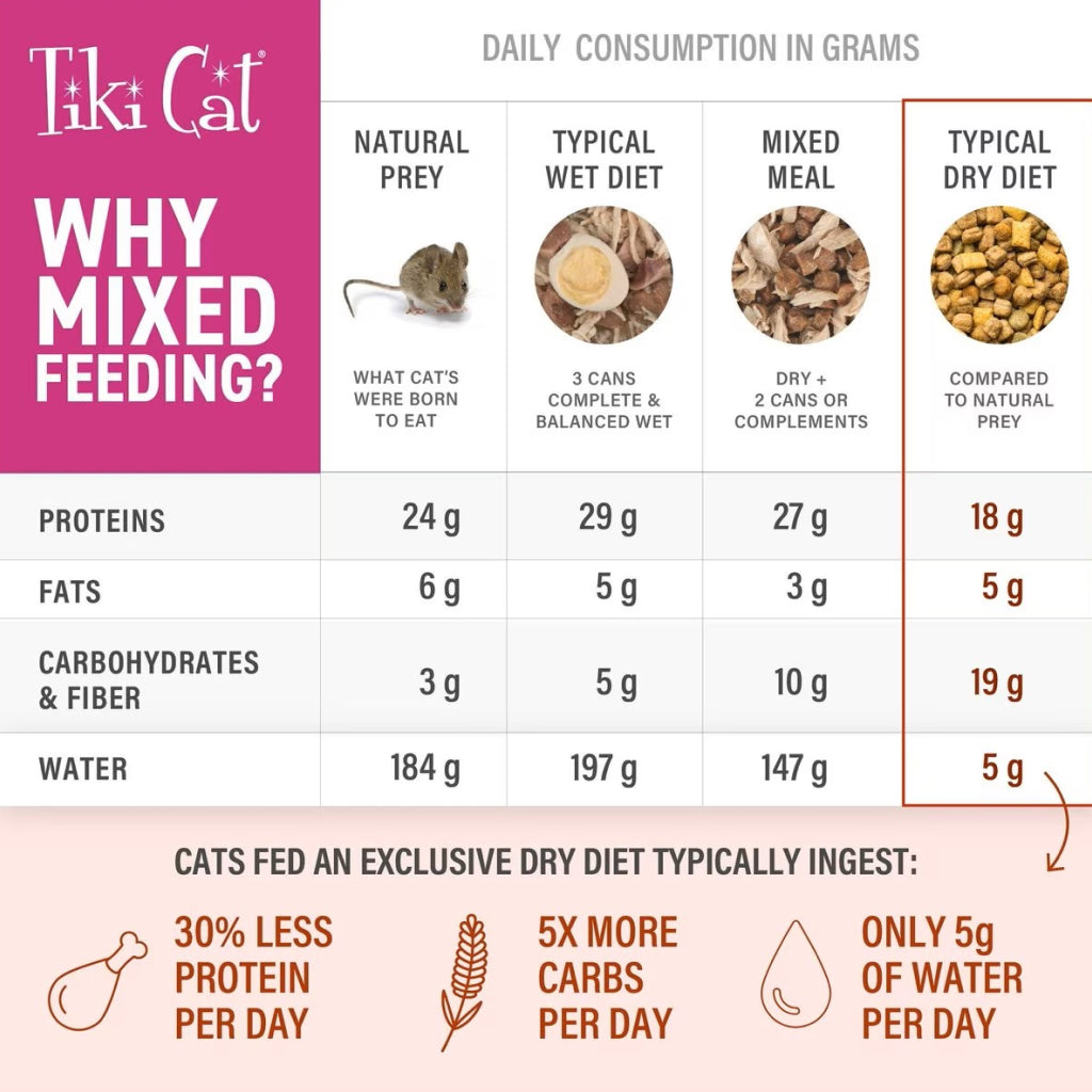 Tiki Cat Born Carnivore High Protein Herring & Salmon Meal Dry Food for Cats