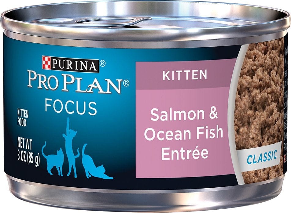 Purina Pro Plan Focus Kitten Classic Salmon & Ocean Fish Entree Canned Cat Food (3 oz x 24 cans)