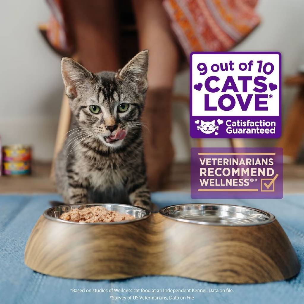 Wellness CORE Tiny Tasters Grain-Free Smooth Pate Chicken & Beef Wet Food for Cats (1.75 oz x 12 pouches)