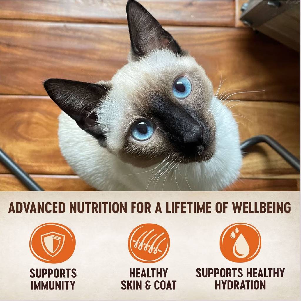 Wellness CORE Tiny Tasters Grain-Free Smooth Pate Chicken & Beef Wet Food for Cats (1.75 oz x 12 pouches)