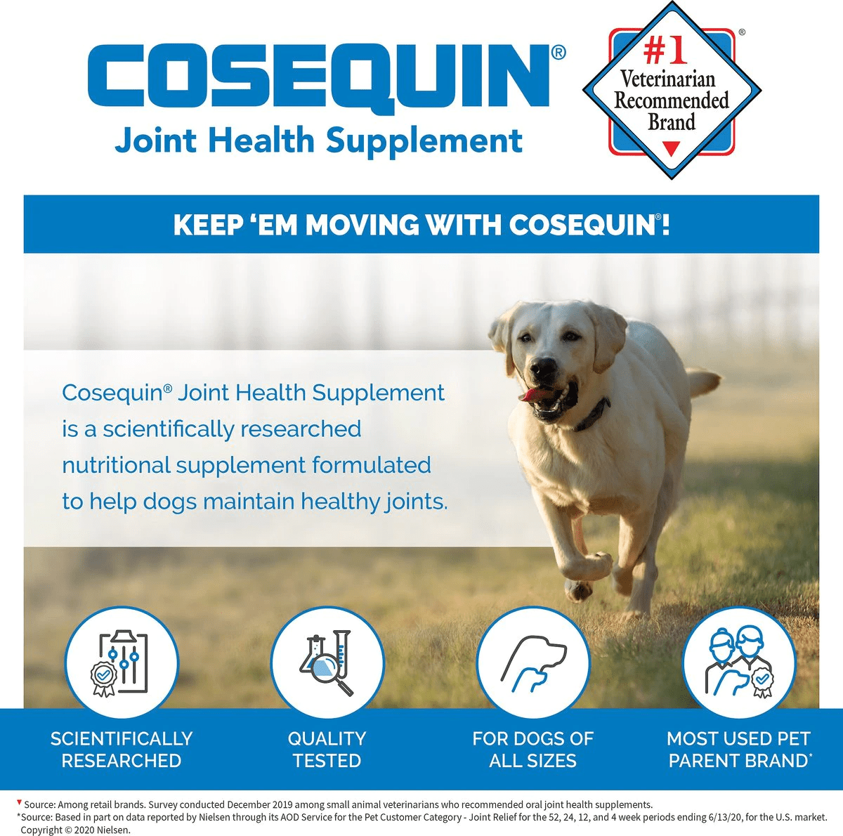 Nutramax Cosequin Senior Joint Health Supplement for Senior Dogs - With Glucosamine, Chondroitin, Omega-3 for Skin and Coat Health and Beta Glucans for Immune Support, 60 Soft Chews