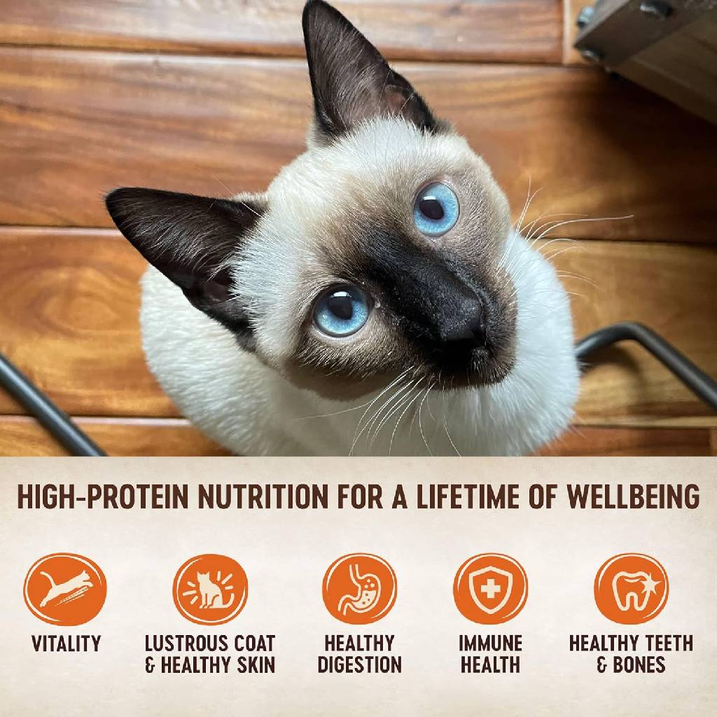 Wellness CORE Tiny Tasters Grain-Free Smooth Pate Chicken & Turkey Wet Food for Cats (1.75 oz x 12 pouches)