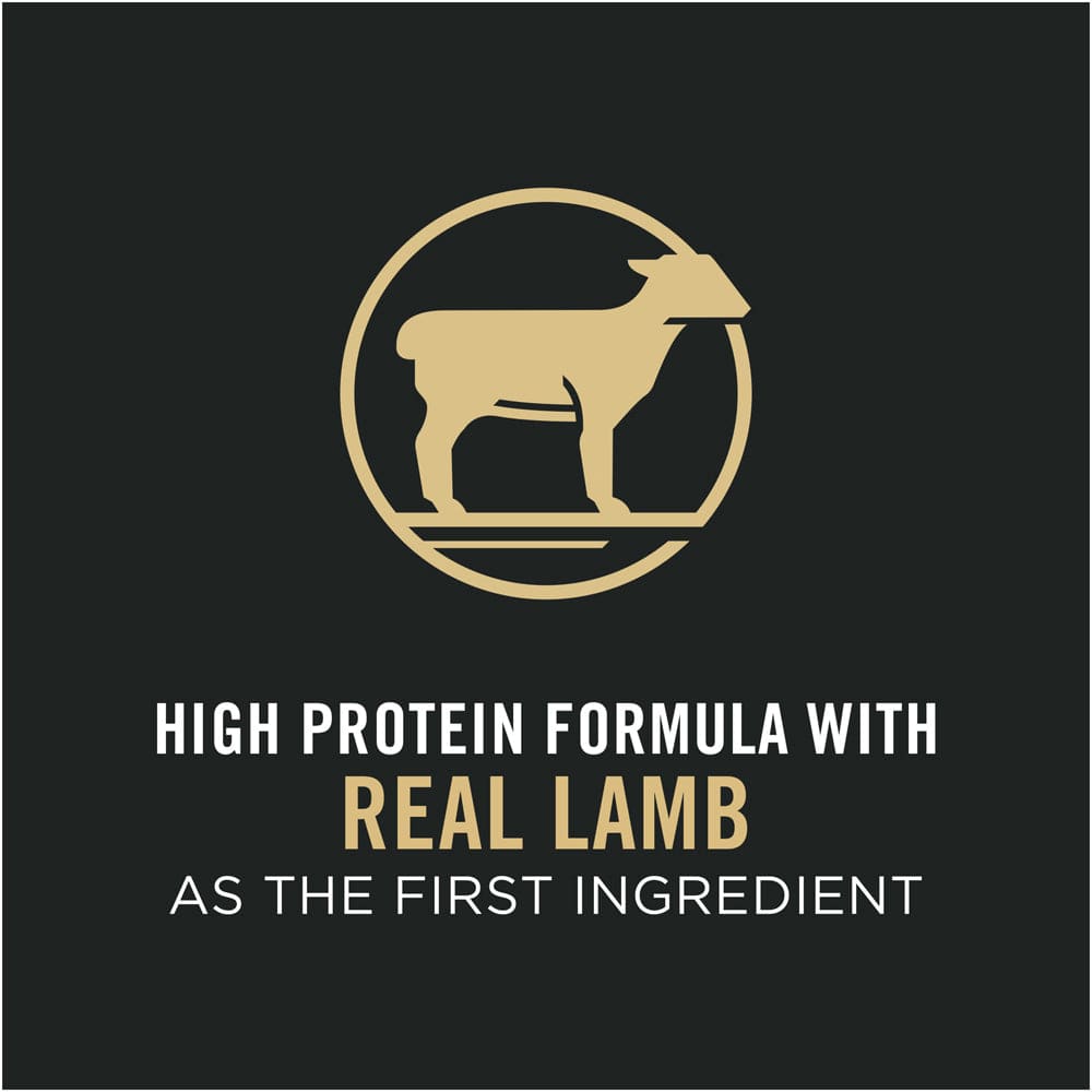 Purina Pro Plan High Protein Sensitive Skin & Stomach Lamb & Rice Formula Dry Cat Food (3.5 lb)