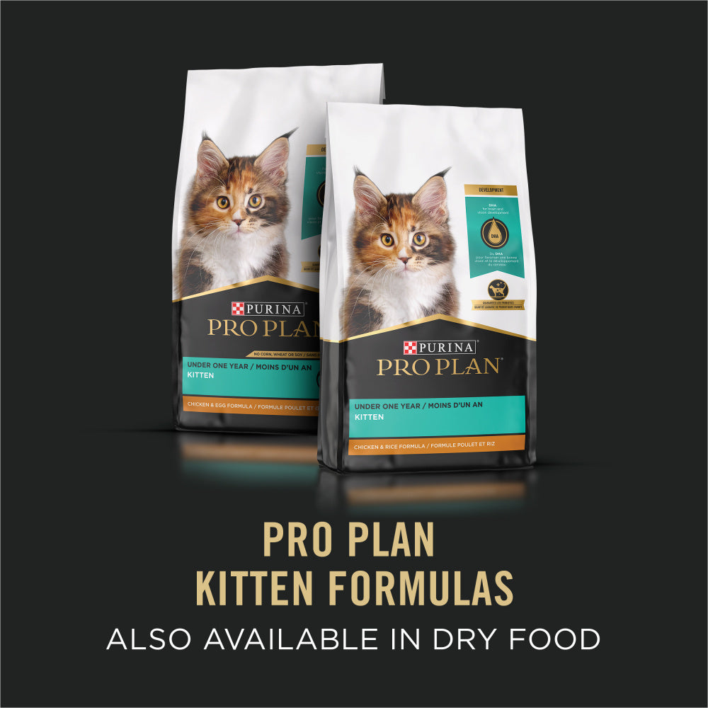 Purina Pro Plan Grain-Free Pate Salmon & Tuna Entree Pull-Top Can Wet Kitten Food (3 oz x 24 cans)