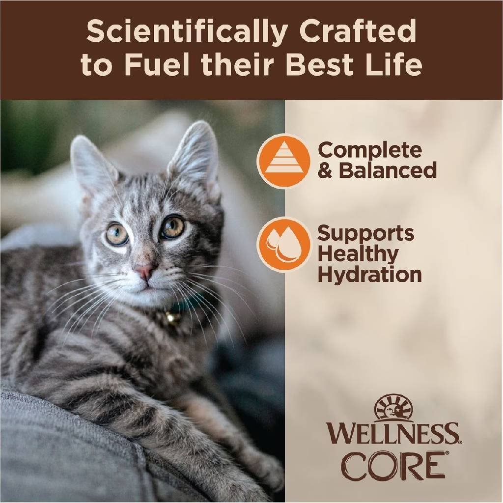 Wellness CORE Tiny Tasters Grain-Free Minced Chicken Wet Food for Cats (1.75 oz x 12 pouches)