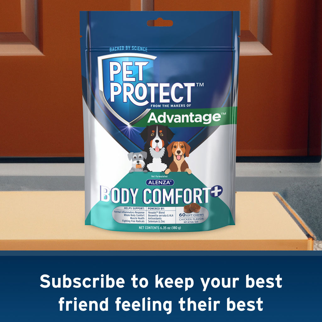 Pet Protect Body Comfort Plus Alenza for Dogs, Chicken Flavor