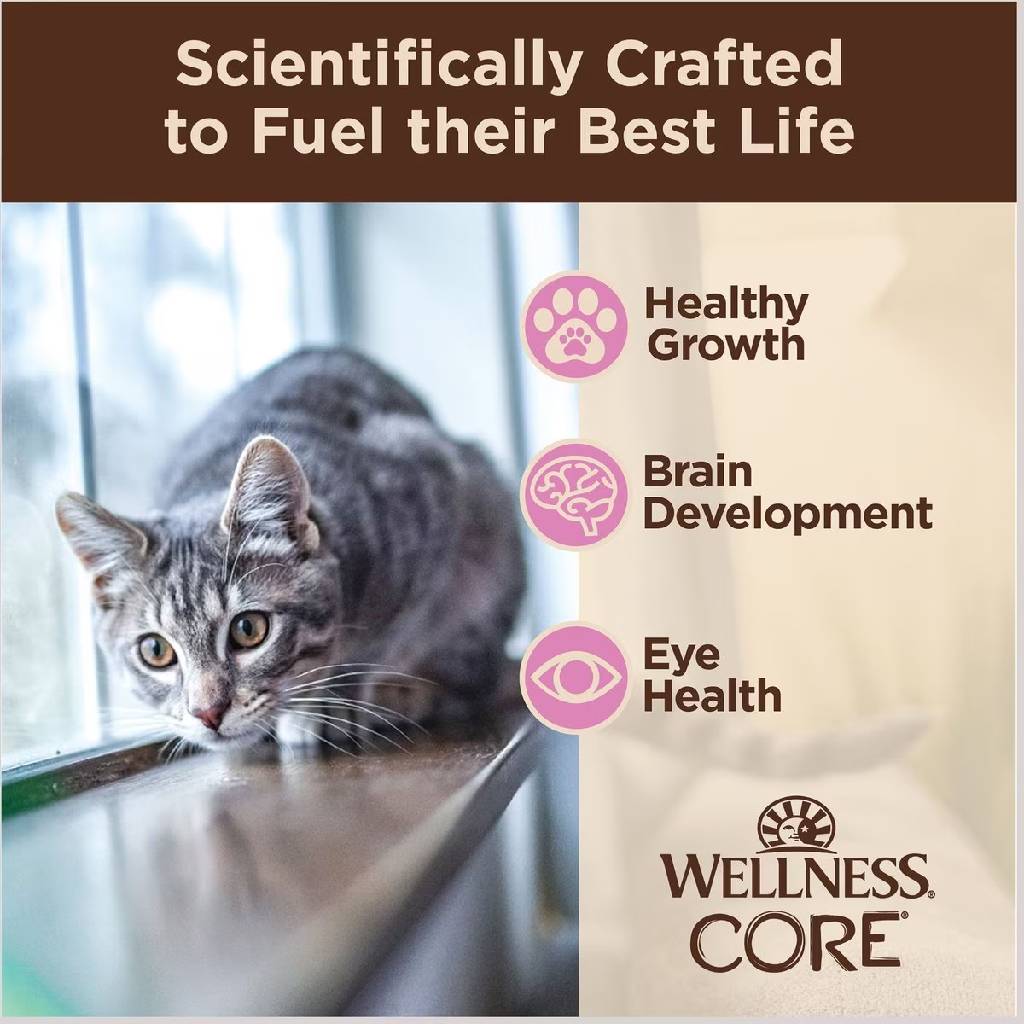 Wellness CORE Tiny Tasters Grain-Free Smooth Pate Chicken Wet Food for Kittens (1.75 oz x 12 pouches)