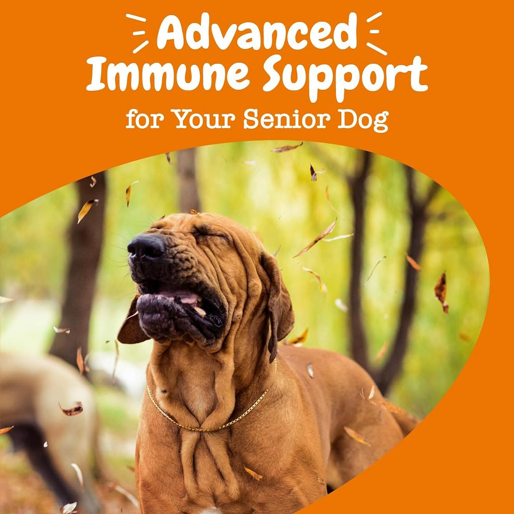 Zesty Paws Senior Advanced Aller-Immune Salmon Flavored Chews for Dogs (90 ct)