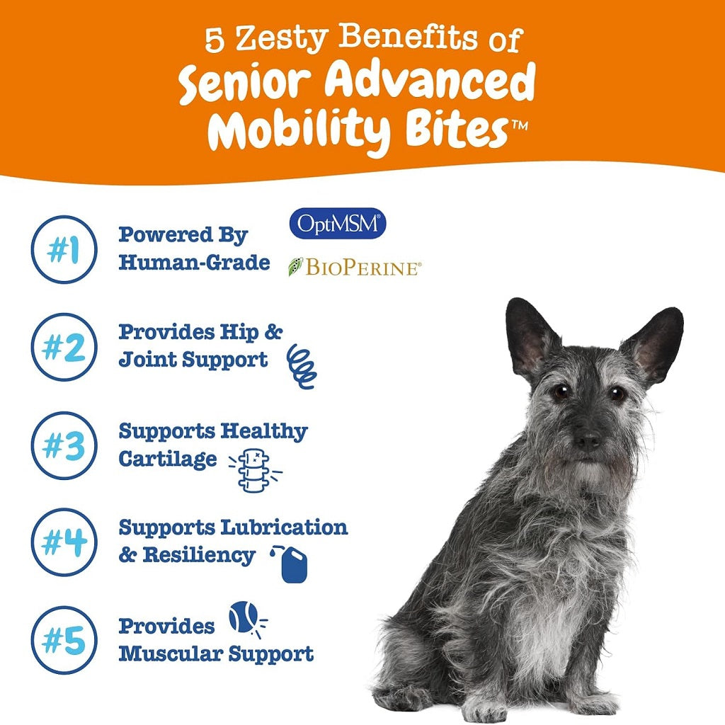 Zesty Paws Senior Advanced Mobility Bites Chicken Flavored Chews for Dogs (90 ct)