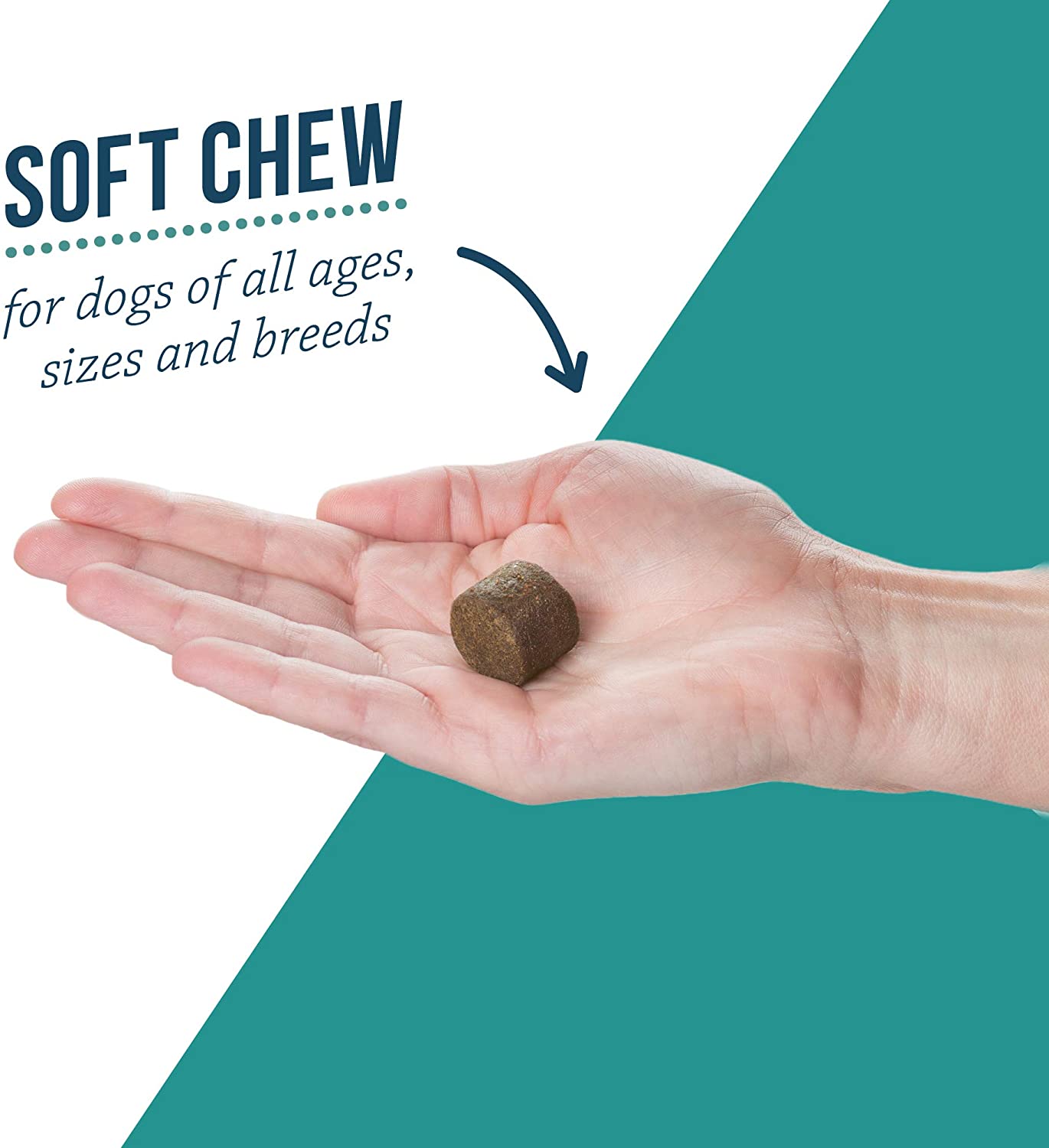 Alenza Aging Support Soft Chews for Dogs