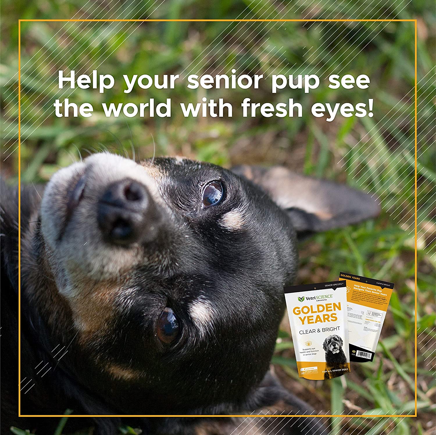 VetriScience Golden Years Clear and Bright Eye Health for Senior Dogs (60 soft chews)